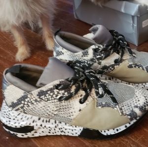 Steve Madden Cliff Snake Skin